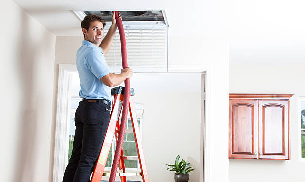 Best Air Vent Cleaning Services  in Clinton, MI